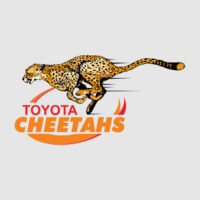 Cheetahs Thumbnail