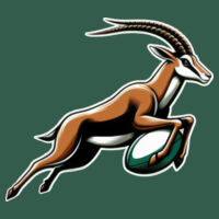Springboks 3 - Rugby Golfer Design