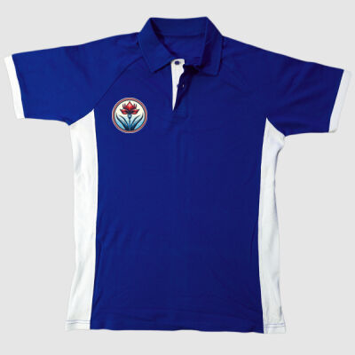 Stormers 1 - Rugby Golfer Thumbnail