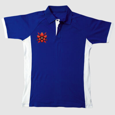 Stormers 2 - Rugby Golfer Thumbnail